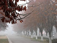 Пайшанба куни деярли бутун Ўзбекистон ҳудудида ҳароратнинг пасайиши кутилмоқда