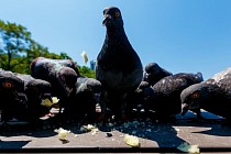 Облачно и жарко будет на всей территории Узбекистана в субботу 