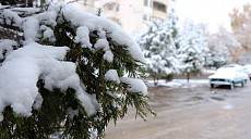 Чоршанба куни бутун Ўзбекистон ҳудудида ёғингарчилик бўлиши кутилмоқда