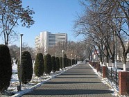 Чоршанба куни бутун Ўзбекистон ҳудудида ҳаво бироз илиши кутилмоқда