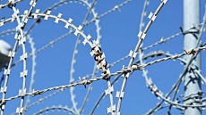 Президент Узбекистана помиловал 83 женщины в честь 8 марта