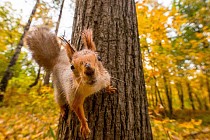 В понедельник в Узбекистане установится погода без осадков 