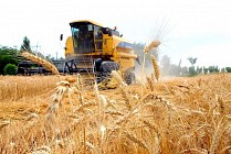 Ўзбек фермерларининг қарздорлиги уч йилга “музлатилди” ва кредитлар бўйича ставкалари пасайтирилди