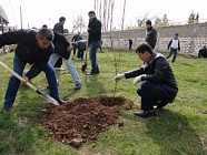 Ўзбекистонда Наврўз байрами арафасида умумхалқ ҳашари бўлиб ўтади  