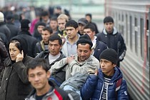 Почти 3 млн экономически активного населения Узбекистана работает за границей 