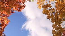 Синоптиклар сешанба куни Ўзбекистон ҳудудининг катта қисмида ёмғир ёғишини прогноз қилишмоқда   