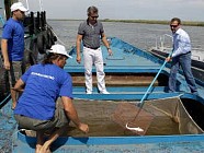 Ўзбекистонда балиқчилик саноатини ривожлантириш учун янги ЭИЗ ташкил этилмоқда