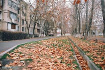 После теплых выходных с понедельника на всей территории Узбекистана прогнозируется похолодание