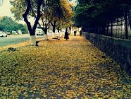 Шанба куни бутун Ўзбекистон ҳудудида баҳорий об-ҳаво бўлиши башорат қилинмоқда  