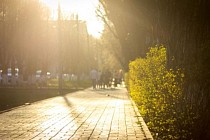 Температура воздуха на всей территории Узбекистана в субботу прогреется выше 30 градусов