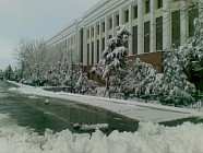 Жума куни Ўзбекистонда ҳаво сезиларли даражада совуши кутилмоқда  