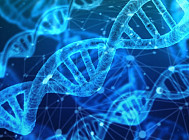 К старению мирового населения ведет увеличение продолжительности жизни и снижение уровня рождаемости – ООН