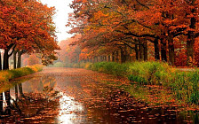 В Сурхандарьинской области температура воздуха прогреется до 17 градусов