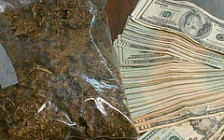 Ўзбек божхонаси бир йилда 223 кг гиёҳванд модддаларни ушлади