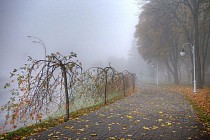 Чоршанба куни бутун Ўзбекистон ҳудудида ёғингарчиликсиз об-ҳаво бўлади