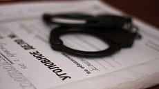 Иркутскда Ўзбекистон ва Хитойга ёғоч экспортчиларига қарши жиноят ишлари очилди  