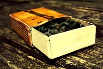 За хранение почти 4 кг марихуаны в Кашкадарьинской области задержан подозреваемый