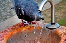 В четверг на всей территории Узбекистана температура воздуха прогреется выше 40 градусов