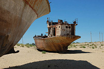 Эртага Урганчда Орол муаммолари бўйича халқаро конференция очилмоқда