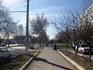 Во вторник во всем Узбекистане сохранится теплая погода без осадков