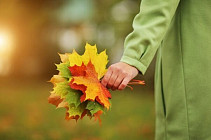 Во всем Узбекистане во вторник установится погода без осадков