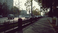 Синоптиклар сешанба куни бутун Ўзбекистон ҳудудида ўртача ҳаво ҳароратининг ошишини прогноз қилишмоқда