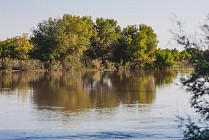 В Каракалпакстане создадут 5 заповедников