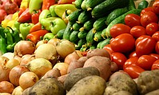 В Россию запретили ввозить более 70 тонн растительной продукции из Казахстана, Кыргызстана и Узбекистана