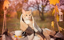 Жума куни бутун Ўзбекистоннинг ҳамма ҳудудларида ҳаво ҳарорати сезиларли даражада кўтарилади