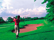 Гостевые дома и гольф-клуб построит в Ташкенте компания Land Master