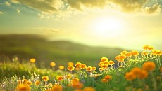 Жаркая погода без осадков установится на всей территории Узбекистана в среду