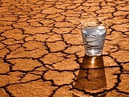Ўзбекистон сув танқислиги юқори бўлган мамлакатлар рўйхатига киритилди