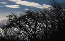 Бутун Ўзбекистон ҳудудида салқин об-ҳаво сақланиб қолади 