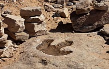 В КНР нашли окаменевшие следы, оставленные динозаврами 100 млн лет назад