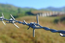 Таджикистан и Узбекистан готовы к переговорам по демаркации границы