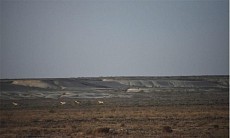 Ученые получили новую информацию для подготовки новой редакции Красной книги Узбекистана