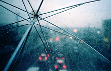 Сешанба куни деярли бутун Ўзбекистон ҳудудида ёғингарчилик бўлиши кутилмоқда