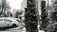 Жума куни бутун Ўзбекистонда об-ҳаво совуқ бўлади  