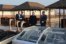 Мирзиёев Карманадаги янги балиқчилик хўжалиги фаолияти билан танишди