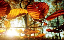 На всей территории Узбекистана в субботу ожидается значительное повышение температуры воздуха