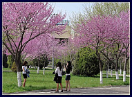 В субботу до 30 градусов тепла прогреется воздух в некоторых регионах Узбекистана