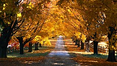 Душанба куни бутун Ўзбекистон бўйлаб ёғингарчиликсиз об-ҳаво кузатилиши прогноз қилинмоқда