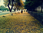 Во вторник на всей территории Узбекистана вновь ожидается понижение средней температуры