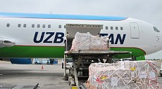 НАК «Узбекистон хаво йуллари» сообщила об изменениях норм бесплатного провоза багажа
